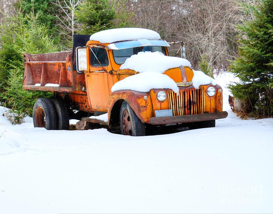 1946 Ford Dump Truck Photograph by Steve Brown 1946 Ford Dump Truck Photograph by Steve Brown