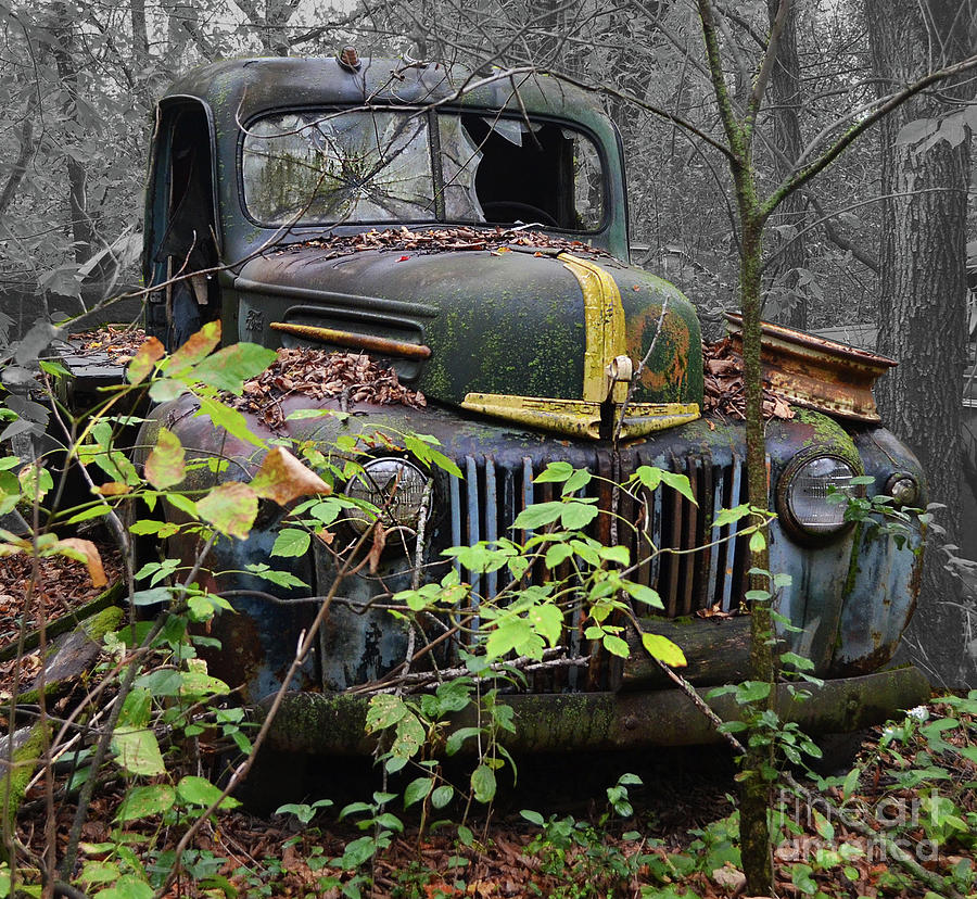 1946 Ford Pickup Hiding Out Photograph by Ron Long