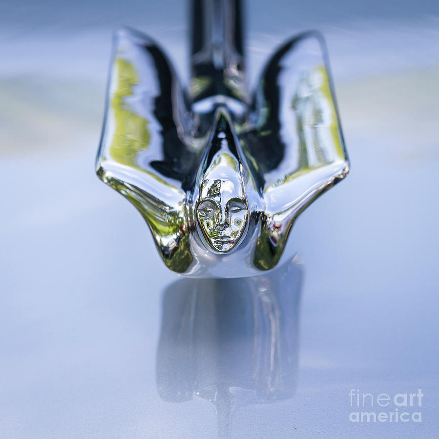 1947 Cadillac Hood Ornament 1 Photograph by Dennis Hedberg