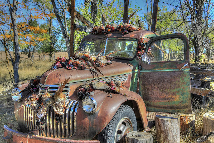 1947 Chevrolet Truck and Pheasants Photograph by Sam Amato