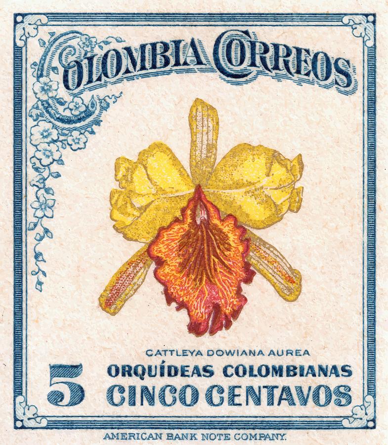 Orchid Digital Art - 1947 COLOMBIA Cattleya Dowiana Orchid Stamp by Retro Graphics