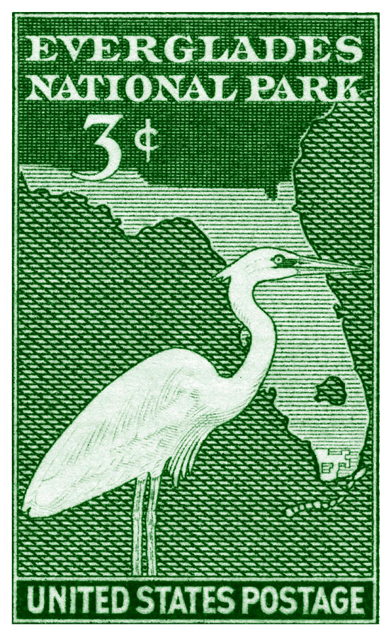1947 Everglades Florida Stamp Painting by Historic Image