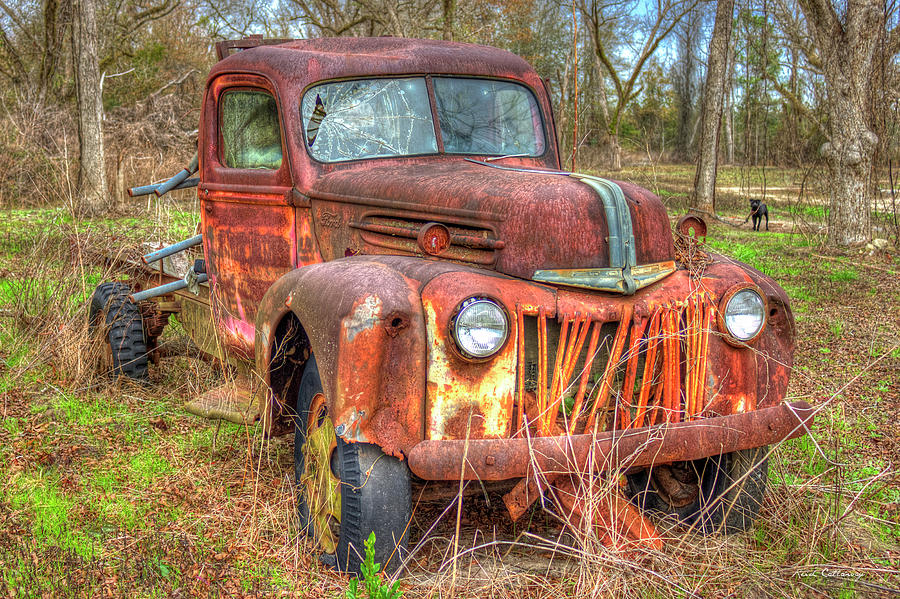 Pitbull Photograph - 1947 Ford Flatbed Truck and Friend Old Cars and Trucks Art by Reid Callaway