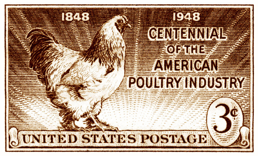 1948 American Poultry Stamp Painting by Historic Image