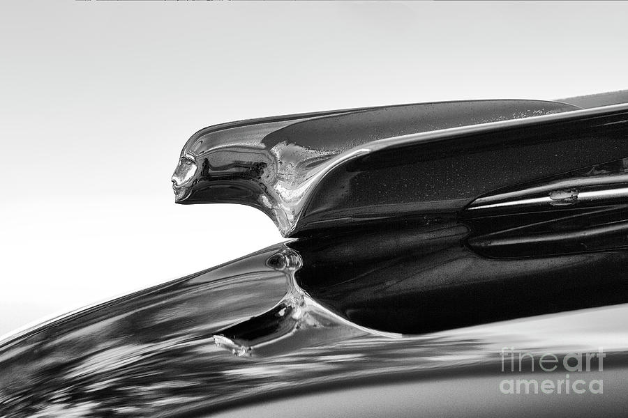 1948 Cadillac Hood Ornament Photograph by Dennis Hedberg
