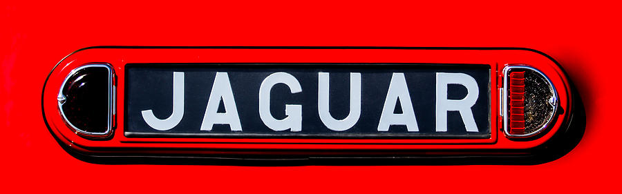 1948 Jaguar 2.5 litre Drophead Coupe Emblem - 0036c2 Photograph by Jill Reger