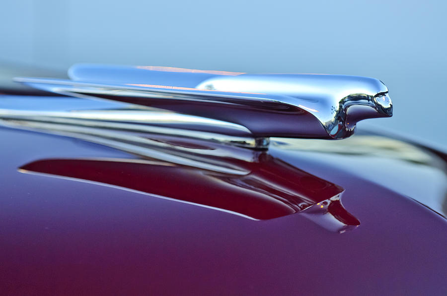 1954 chevy deals truck hood ornament