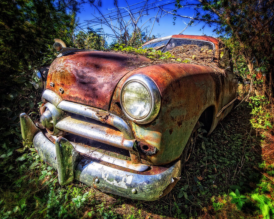 1949 Ford in Decline Photograph by Alan Raasch