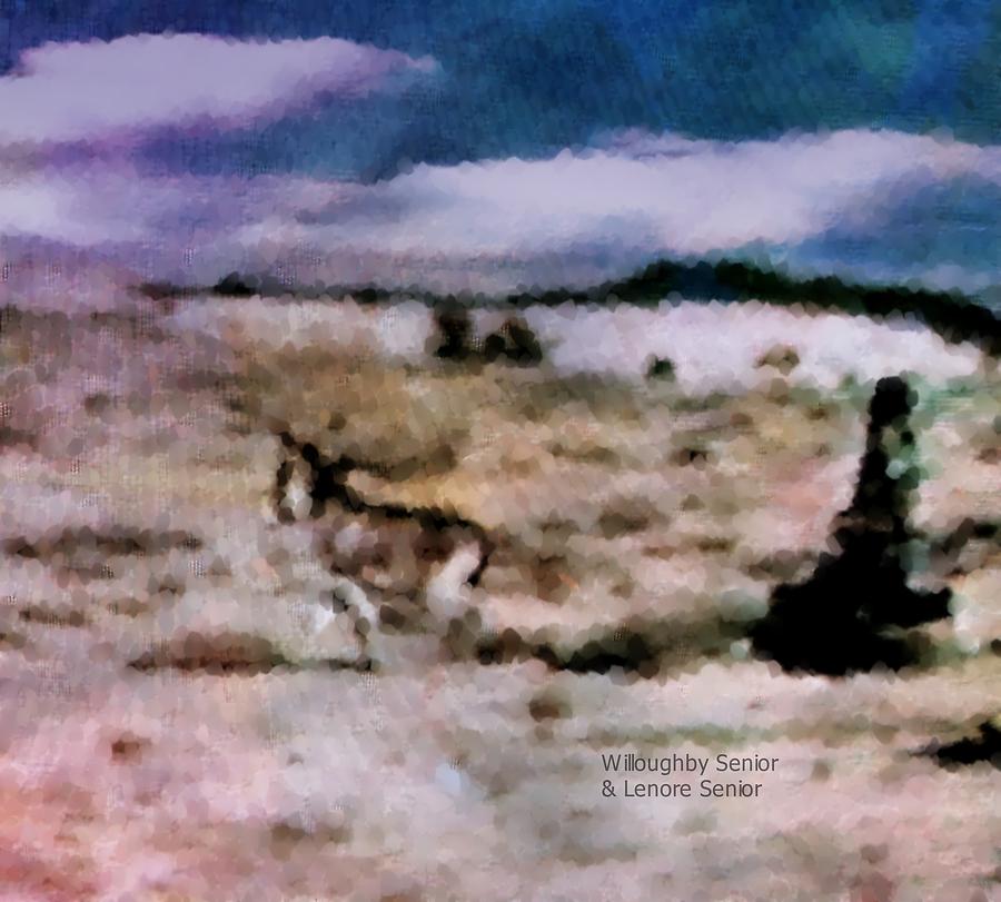 Vintage Photograph - 1950S - Boy Chases Burro by Lenore Senior