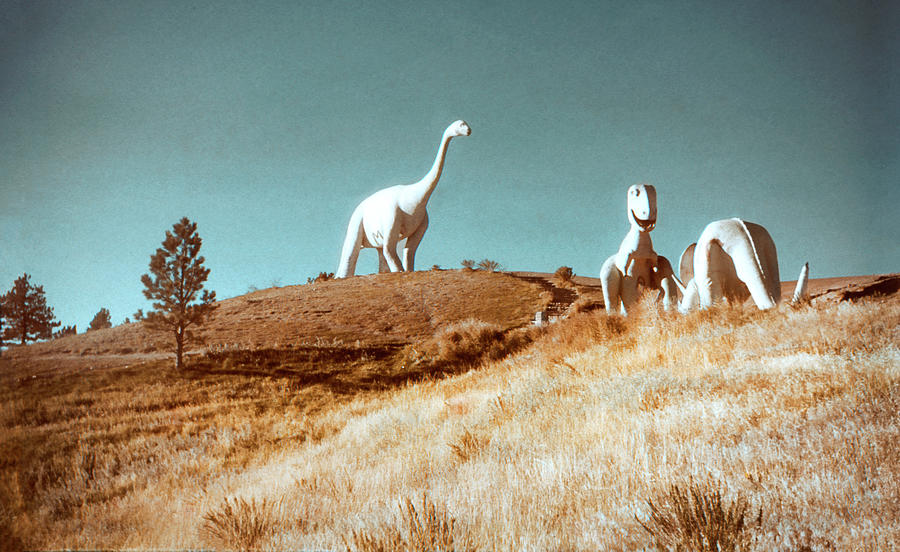 1950s Dinosaur Park Photograph by Marilyn Hunt
