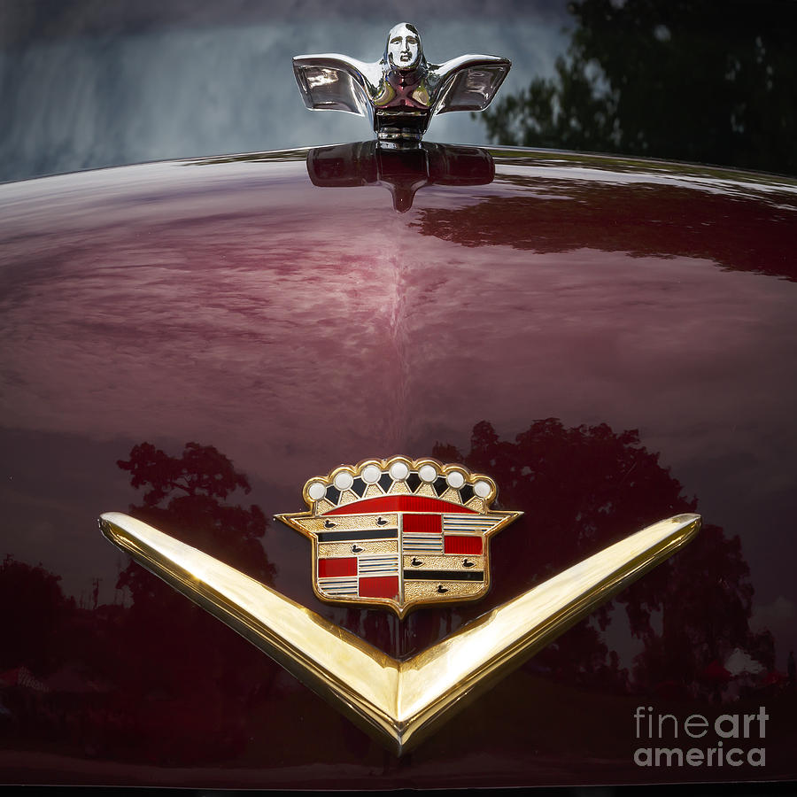 1952 Cadillac Photograph by Dennis Hedberg
