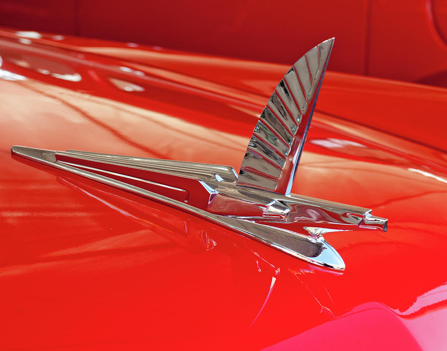 1954 Ford Cresline Sunliner Hood Ornament 2 Photograph by Jill Reger