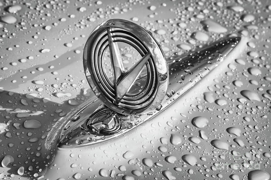 1955 Buick Hood Ornament 2 Photograph by Dennis Hedberg