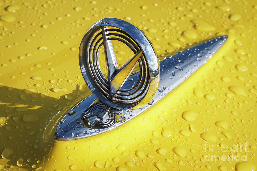 1955 Buick Hood Ornament Photograph by Dennis Hedberg
