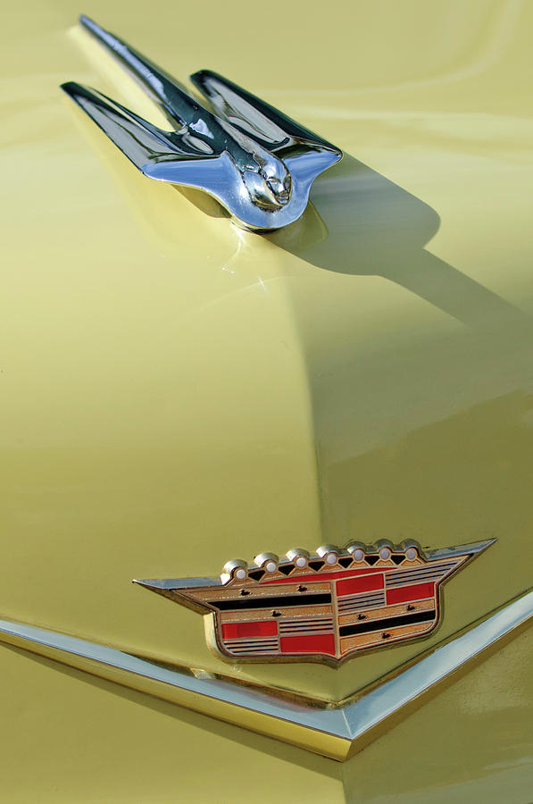 Transportation Photograph - 1956 Cadillac Sedan Deville Hood Ornament by Jill Reger