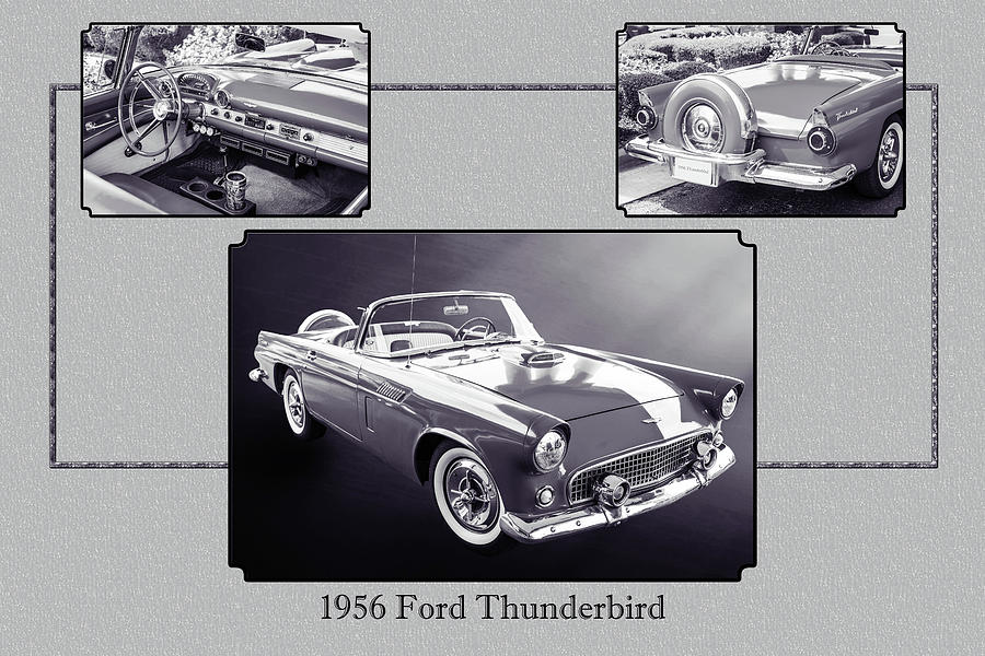 1956 Ford Thunderbird 5510.50 Digital Art by M K Miller
