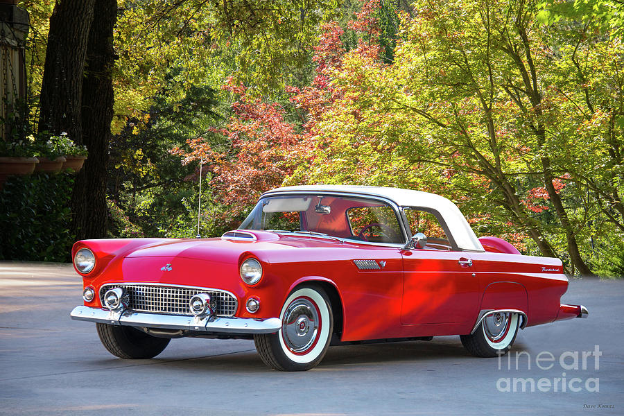 1956 Ford Thunderbird Hardtop by Dave Koontz