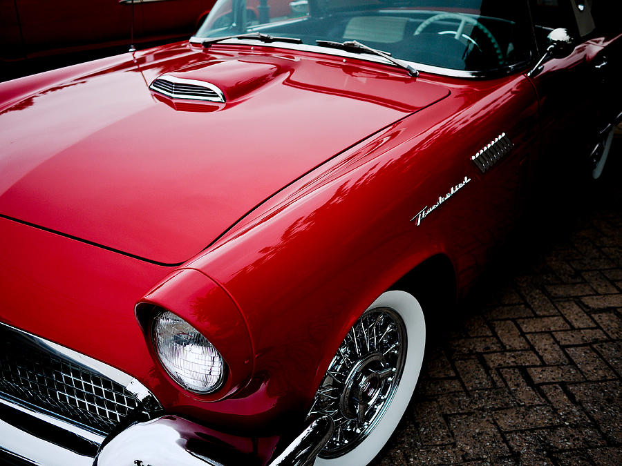 1956 Ford Thunderbird Photograph by M G Whittingham