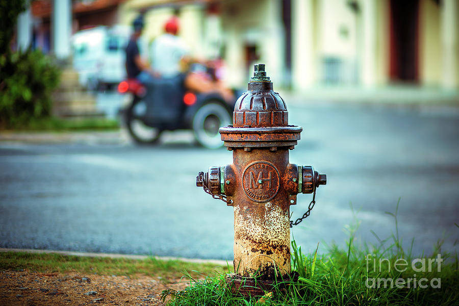 1956 Hydrant  Photograph by Jose Rey