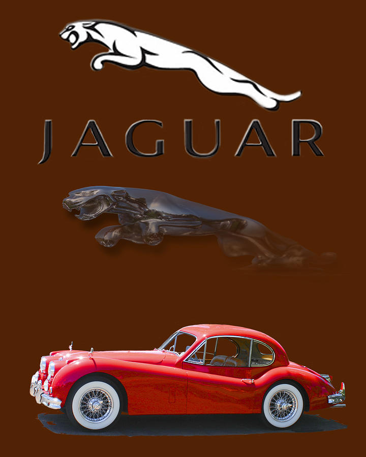  Jaguar X K 140 Photograph by Jack Pumphrey