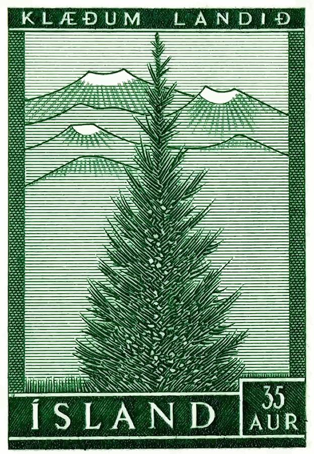 1957 Iceland Spruce Tree Postage Stamp Digital Art by Retro Graphics