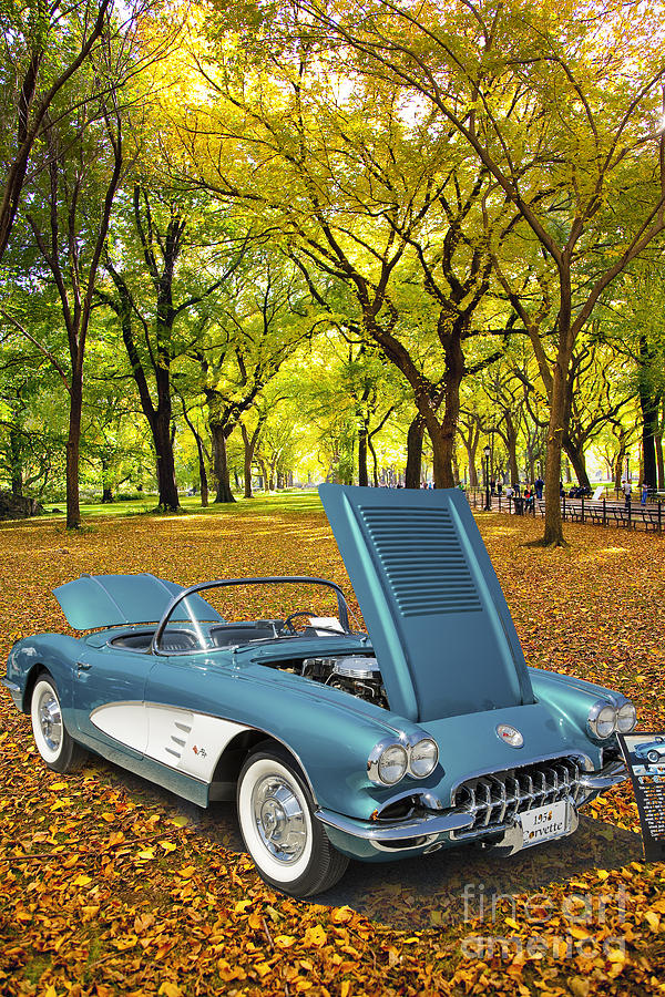 1958 Corvette by Chevrolet In the Park in a Color Photograph 349 Photograph by M K Miller