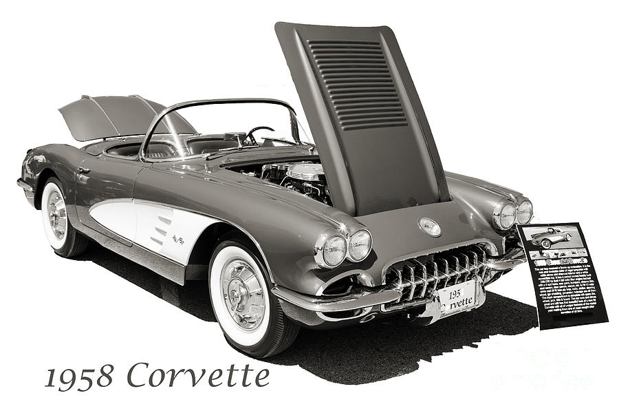 1958 Corvette by Chevrolet on White in a Sepia Photograph 3496.0 Photograph by M K Miller