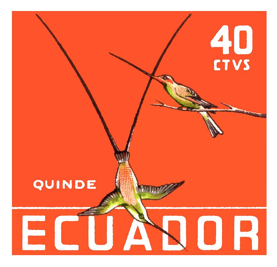 Hummingbird Digital Art - 1958 Ecuador Hummingbirds Postage Stamp by Retro Graphics