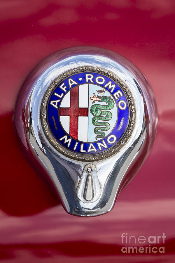 1961 Alfa Romeo Photograph by Dennis Hedberg