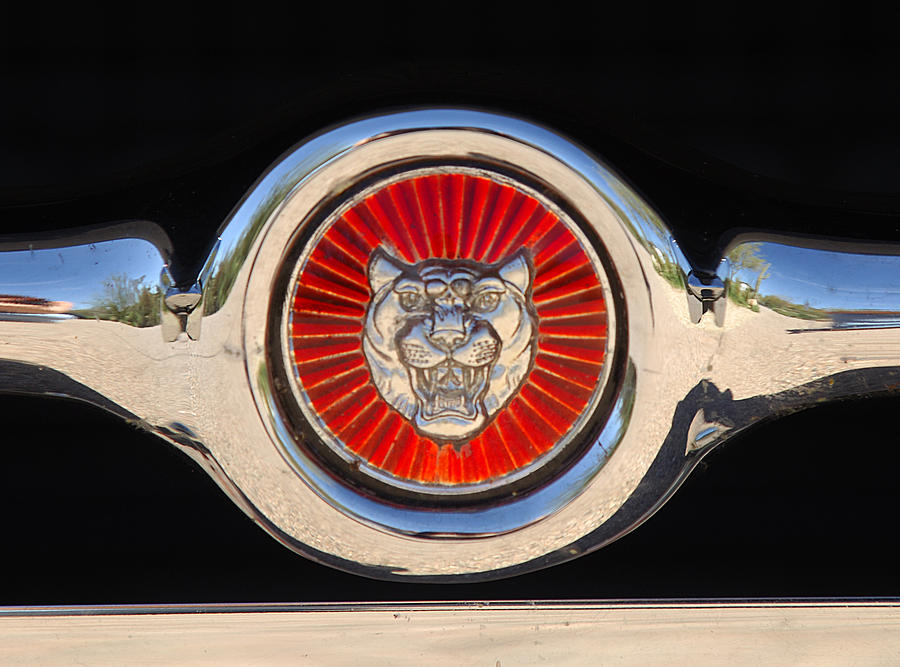 1963 Jaguar XKE Roadster Emblem Photograph by Jill Reger