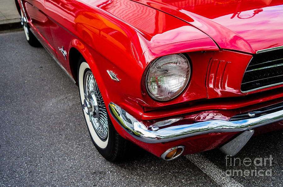 1964 Ford Mustang Photograph by M G Whittingham