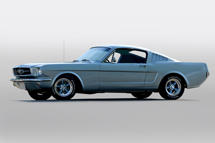 1965 Ford Mustang Fastback  Show Pony Photograph by Dave Koontz