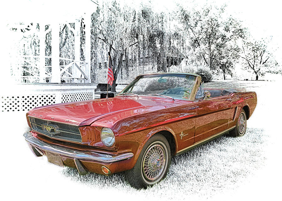 1965 Ford Mustang  Photograph by Susan Rissi Tregoning