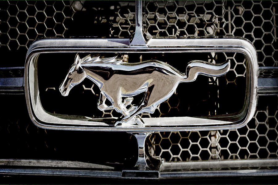 1965 Ford Shelby Mustang Grille Emblem -0589ac Photograph by Jill Reger