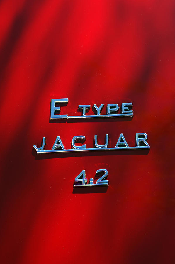 1965 Jaguar E Type Emblem Photograph by Jill Reger