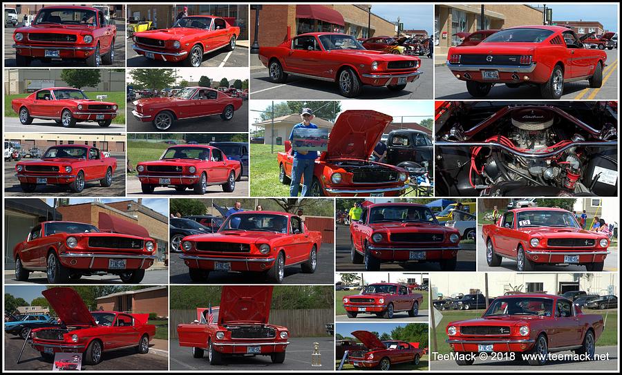 1965 Mustang Fastback Collage by Tim McCullough 1965 Mustang Fastback Collage by Tim McCullough