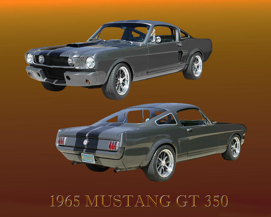 1965 Mustang G T 350 Fastback Photograph by Jack Pumphrey