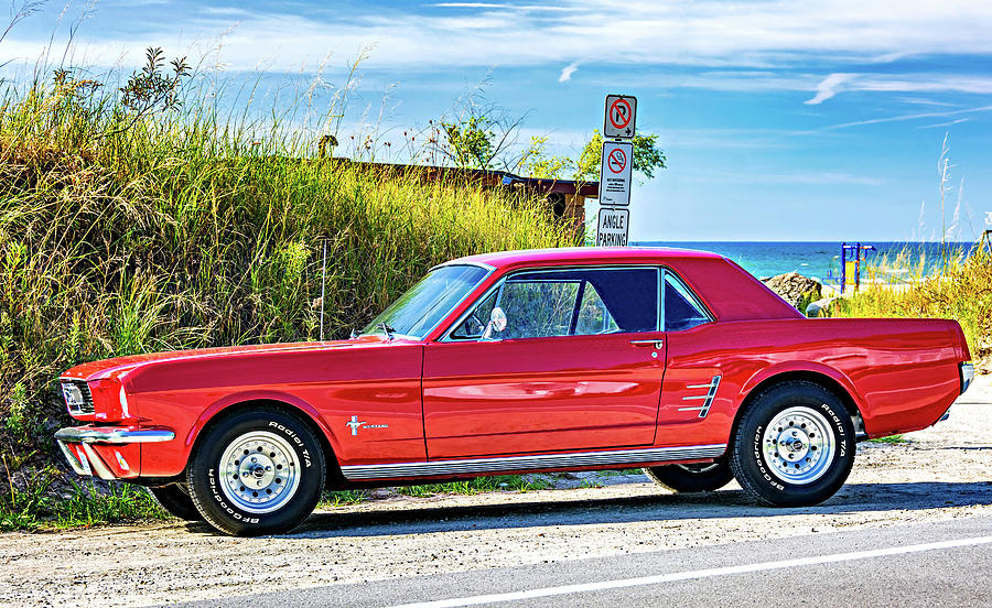 1965 Mustang Photograph by Steve Harrington