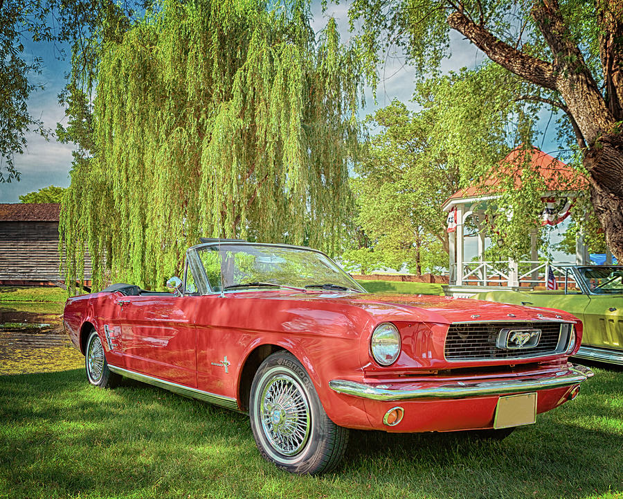 1966 Ford Mustang Convertible Photograph by Susan Rissi Tregoning