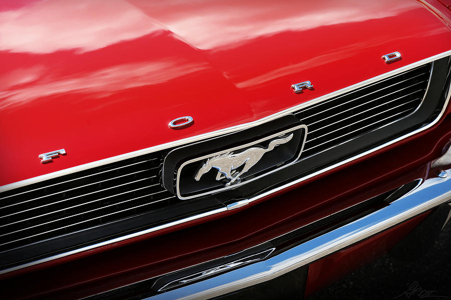 1966 Ford Mustang Photograph by Gordon Dean II