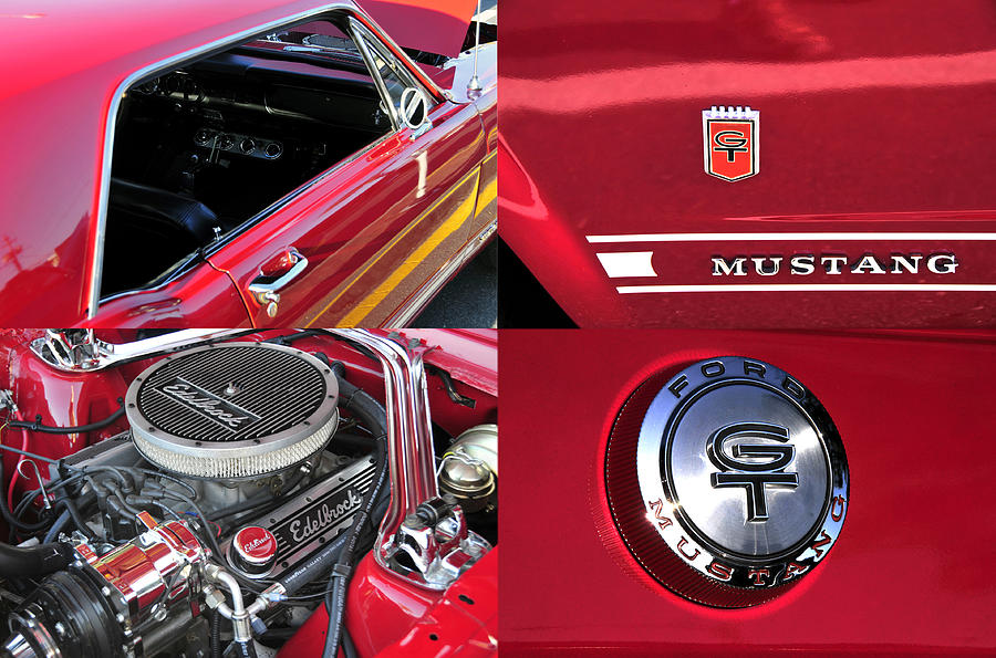1966 Ford Mustang GT Photograph by David Lee Thompson