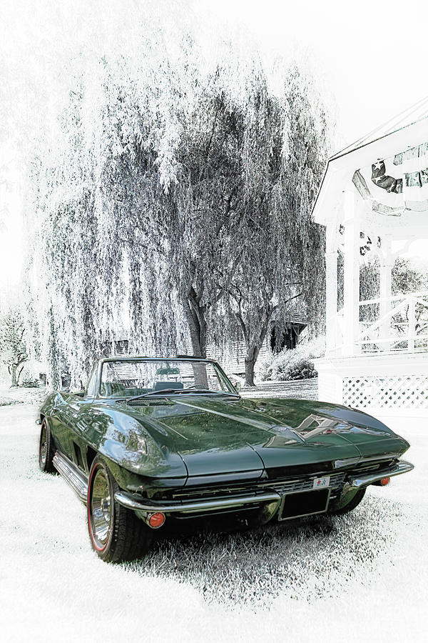 1967 Corvette Convertible Photograph by Susan Rissi Tregoning