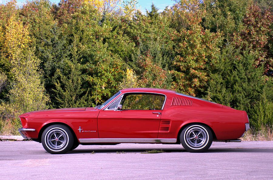 1967 Mustang Fastback Photograph by Tim McCullough