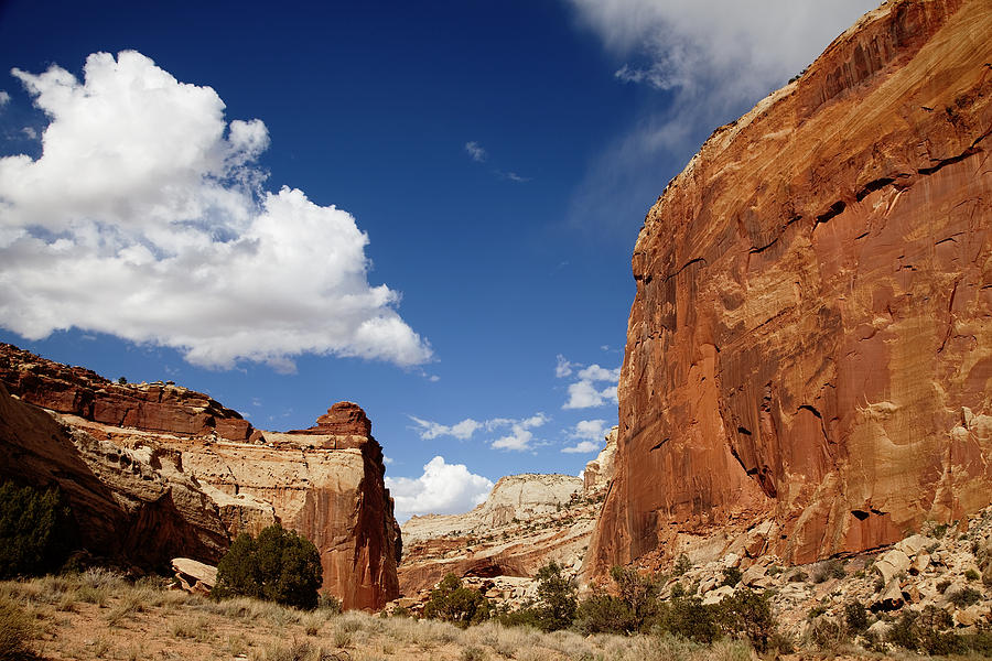 Capitol Reef National Park Photograph - Capitol Reef National Park by Mark Smith Capitol Reef National Park Photograph - Capitol Reef National Park by Mark Smith