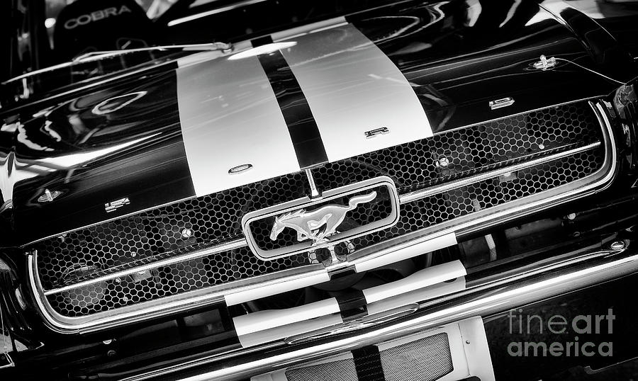 1970 Mustang Monochrome Photograph by Tim Gainey