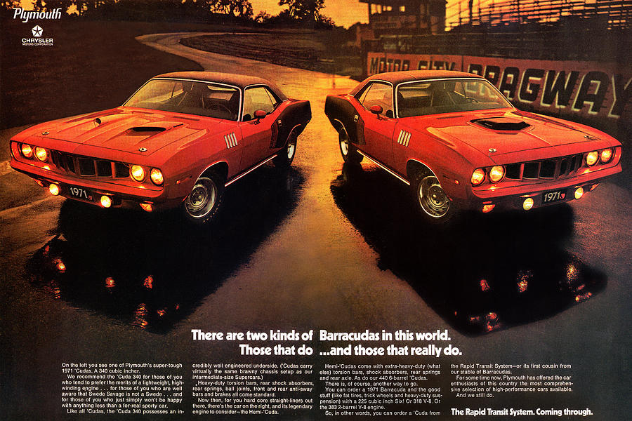 Car Digital Art - 1971 Plymouth Barracudas by Digital Repro Depot