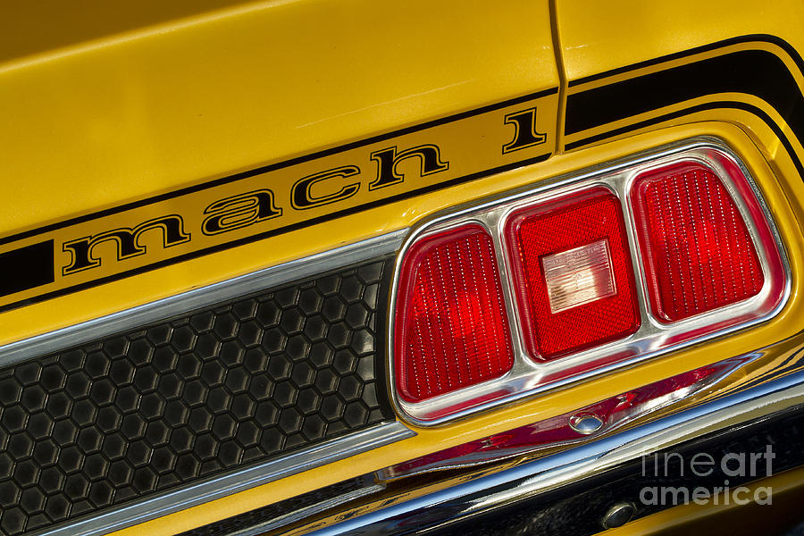1973 Mustang Mach 1 Photograph by Dennis Hedberg