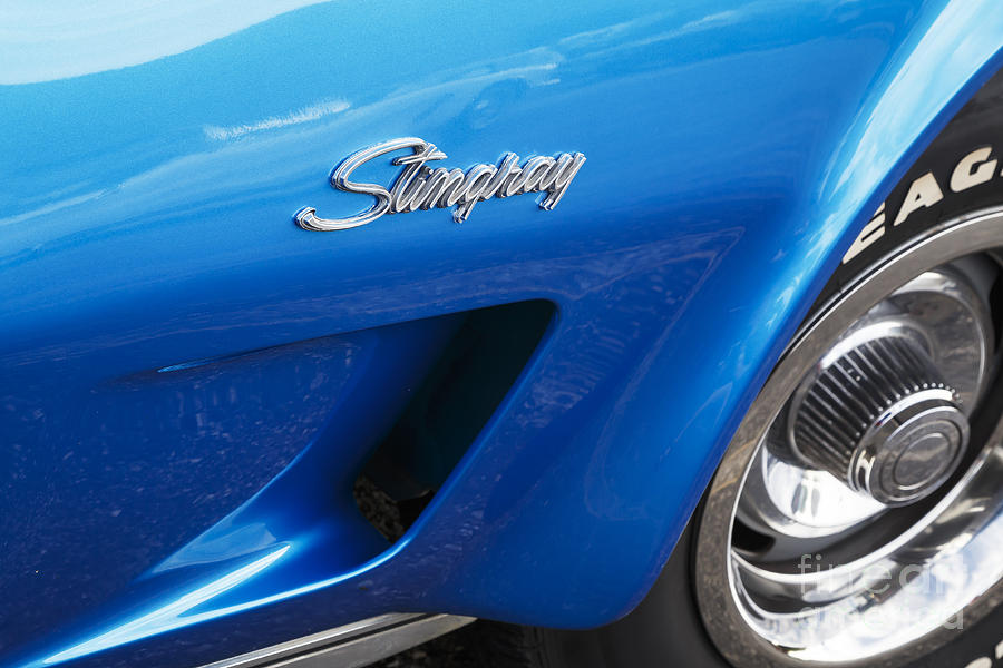 1973 Stingray Photograph by Dennis Hedberg