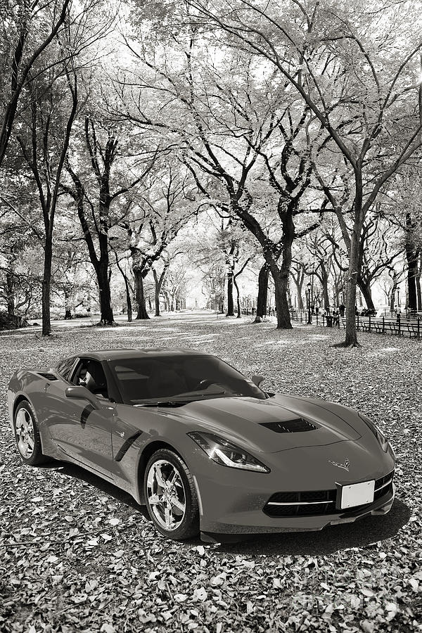 1974 Chevrolet Corvette in a park in black and white 3466.01 Photograph by M K Miller