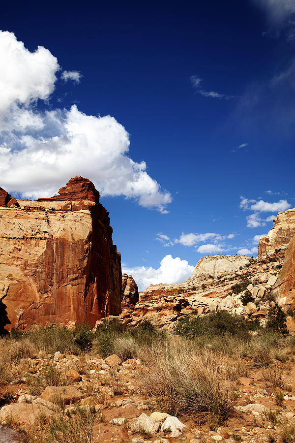 Capitol Reef National Park Photograph - Capitol Reef National Park by Mark Smith Capitol Reef National Park Photograph - Capitol Reef National Park by Mark Smith